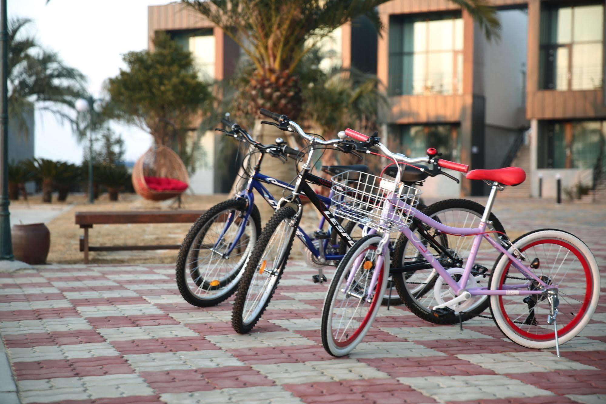 J Raum Resort Seogwipo Bagian luar foto